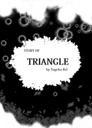 The story of Triangle