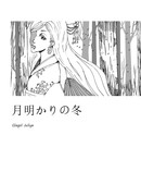 Зимний лунный свет