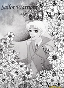 Сейлор Воины