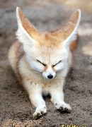 Анастасия (Nastya: Kverod)