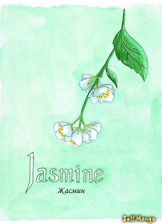 манга Жасмин (Jasmine) 11.02.16