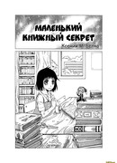 Маленький книжный секрет