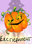 Экперимент