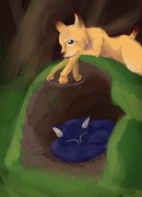 Найти лисий дом