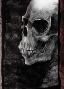 Воля к жизни