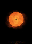 Дети черного Солнца