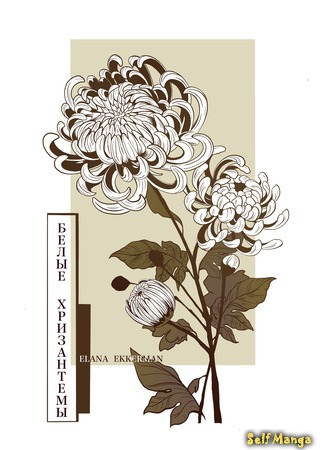 манга Белые хризантемы (White chrysanthemums) 12.08.21
