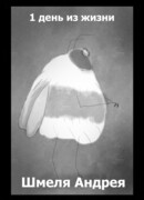 1 день из жизни Шмеля Андрея