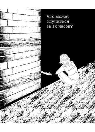 Что может случиться за 12 часов?