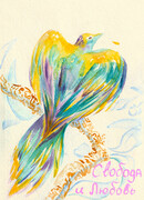 Свобода и Любовь