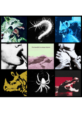 Автор Мурша 05.02.26